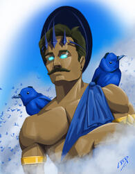 Black Naped Monarch(65€)